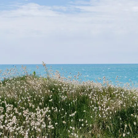 Bel Vue Pour 4 Apartment Soulac-sur-Mer
